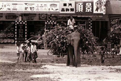 GAJAH