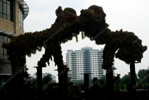 LION DANCE