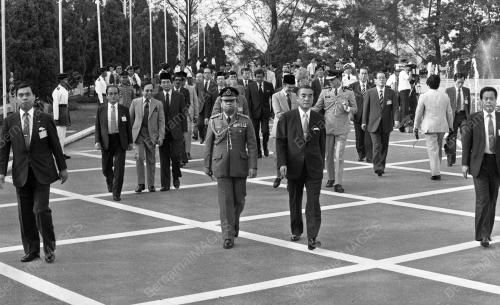 KL06_90583_MARASORU_KALONGAN_BUNGA_13012015