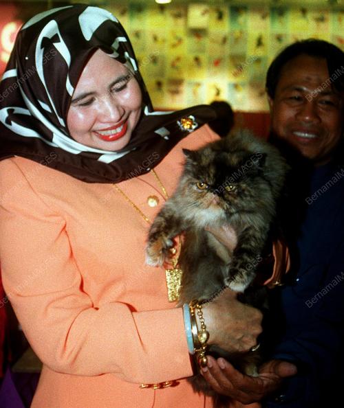 KL07-13_08_2000ZAHARAH-KUCING_12012016