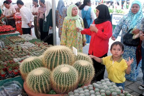 KL07-29_07-2000_KAKTUS_BESAR_11012016