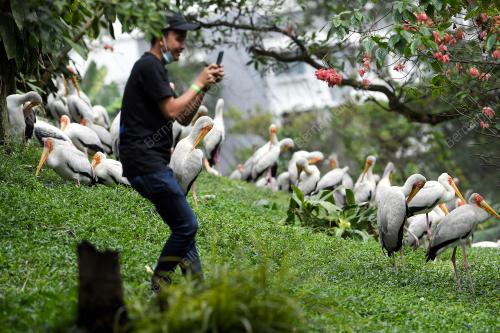 TINJAUAN CUTI UMUM TAHUN BARU 2021