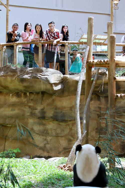 KL07_01072014_PANDA