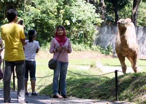 KL07_02012012_ZOO