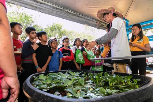 KL07_02032019_ORGANIK_BN201902261683