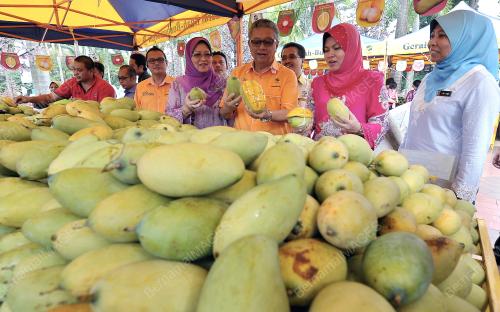 KL07_02052014_MANGGA