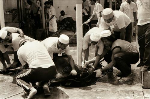 HARI RAYA QURBAN DI KAMPUNG BARU