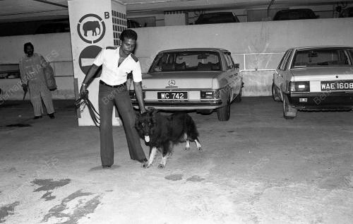 DEMONSTRASI ANJING