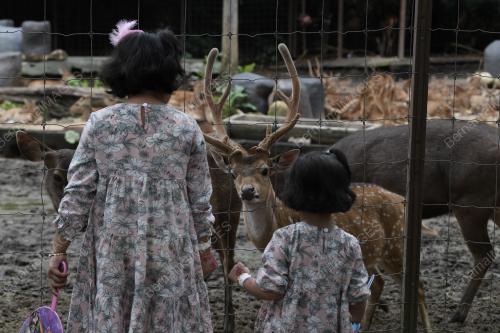 KL07_06062019_ZOO_RAYA