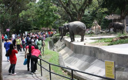 ZOO NEGARA