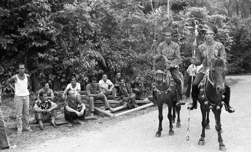 BAJAU HORSEMAN