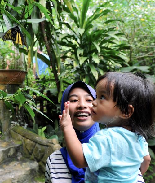 KL07_11022013_TAMAN