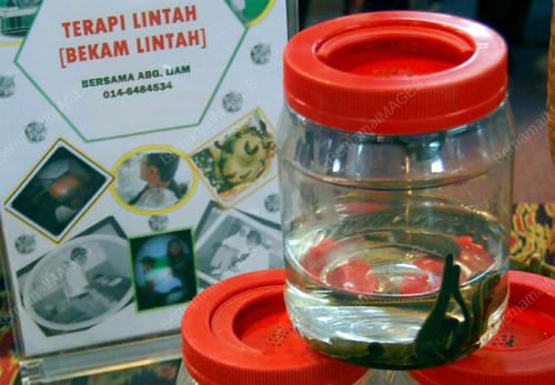 BEKAM LINTAH