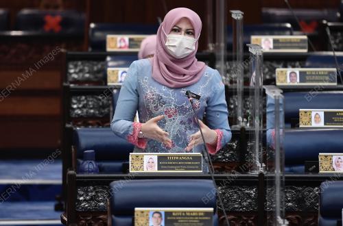 DATUK SERI RINA MOHD HARUN