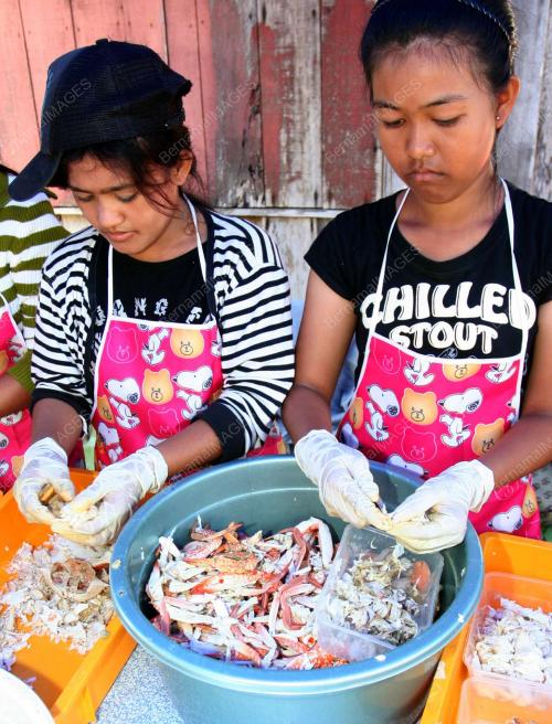 KETAM SURI