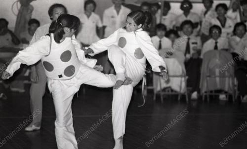 TAEKWONDO