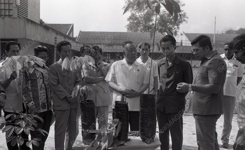 RRI