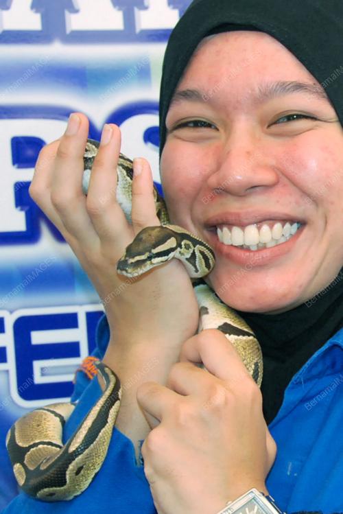 ANAK ULAR SAWA