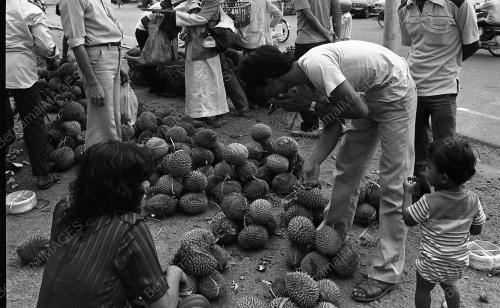KL07_16012015_MUSIM_DURIAN