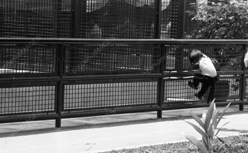 KL07_16012015_ZOO_NEGARA
