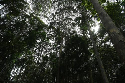 TAMAN EKO RIMBA KOMANWEL