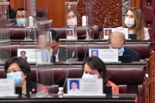 SENATOR RAS ADIBA MOHD RADZI