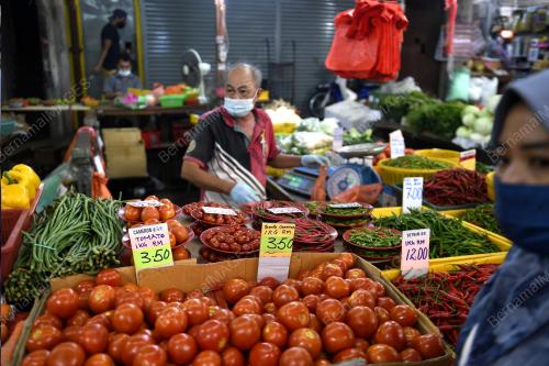 TINJAUAN HARGA SAYUR