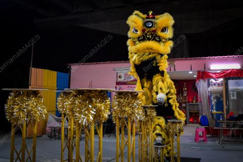 TECK SENG DRAGON & LION DANCE