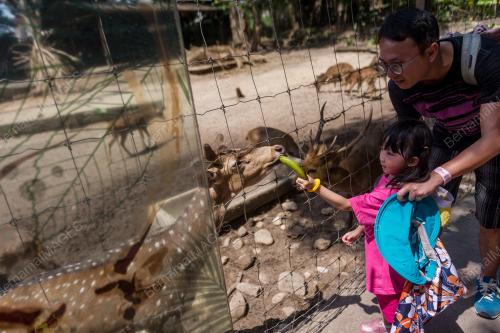 KL07_18022018_ZOO_BN201802179182