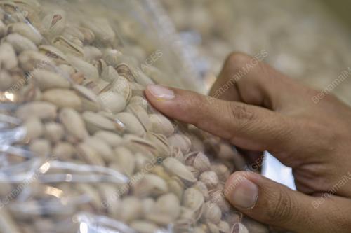TINJAUAN KACANG PISTACHIO
