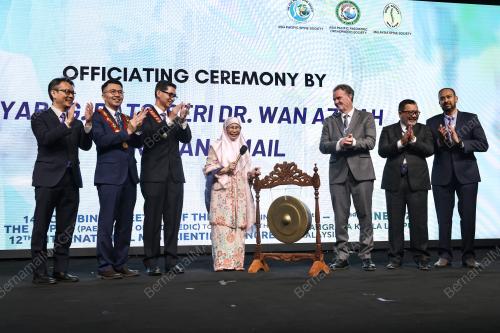 DATUK SERI DR WAN AZIZAH WAN ISMAIL