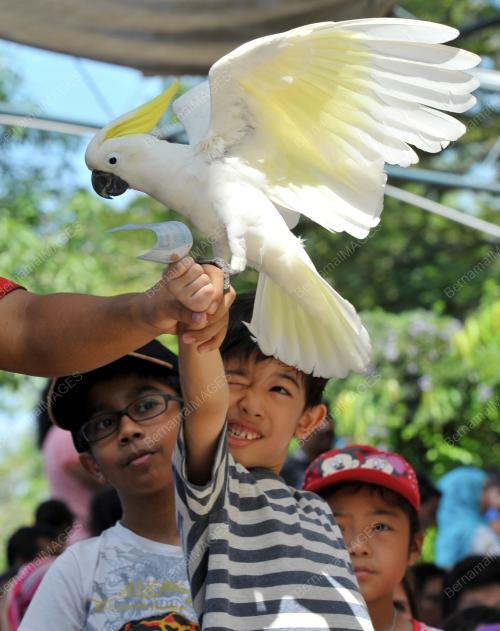 KL07_22022015_ZOO_NEGARA