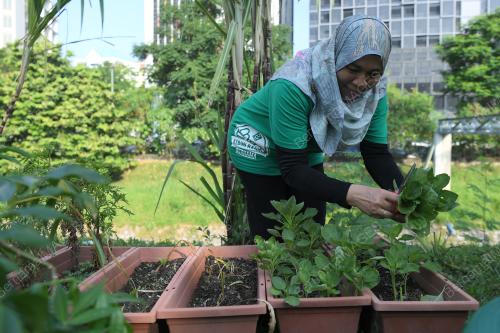 KL07_22032019_KEBUN_BANDAR_BN201903214161