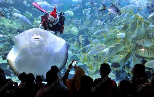 KL07_22122012_AQUARIA