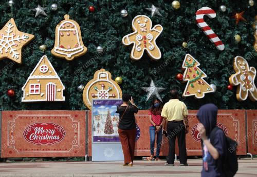 POKOK KRISMAS GERGASI
