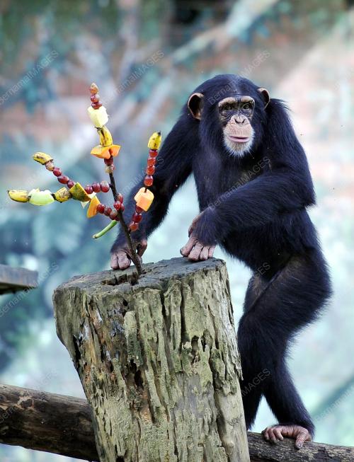 KL07_24072016_ZOO