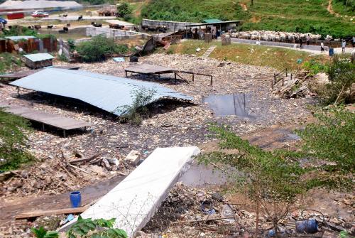 KANDANG LEMBU SUNGAI KERTAS