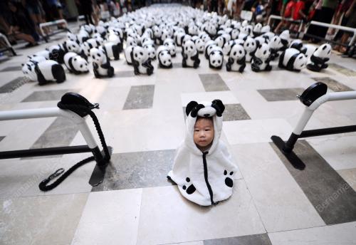 KL07_25012015_PANDA