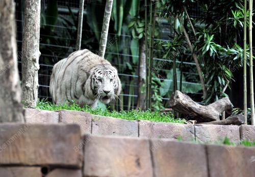 KL07_25082016_SUNWAY