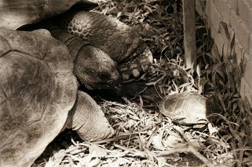 ZOO NEGARA