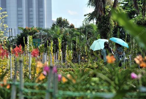 KL07_26122015_TAMAN