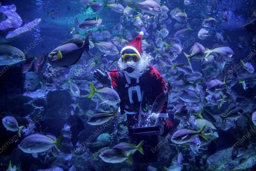 SANTA CLAUS AQUARIA KLCC