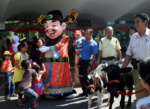 ROUNDUP TAHUN BARU CINA