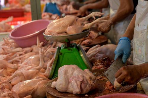 TINJAUAN BEKALAN DAN HARGA AYAM