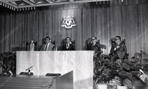 MUSA HITAM