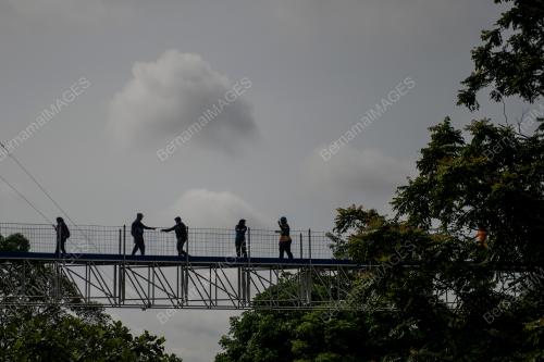 FOREST SKYWALK FRIM KEPONG