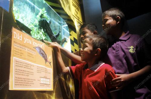 KL07_28112012_AQUARIA_KLCC