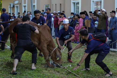 IBADAH KORBAN