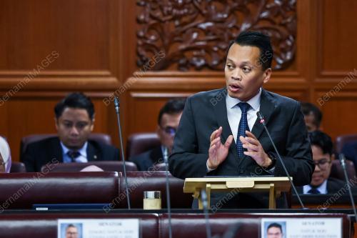 NIK NAZMI NIK AHMAD