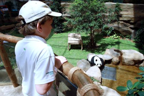 KL08_01072014_PANDA